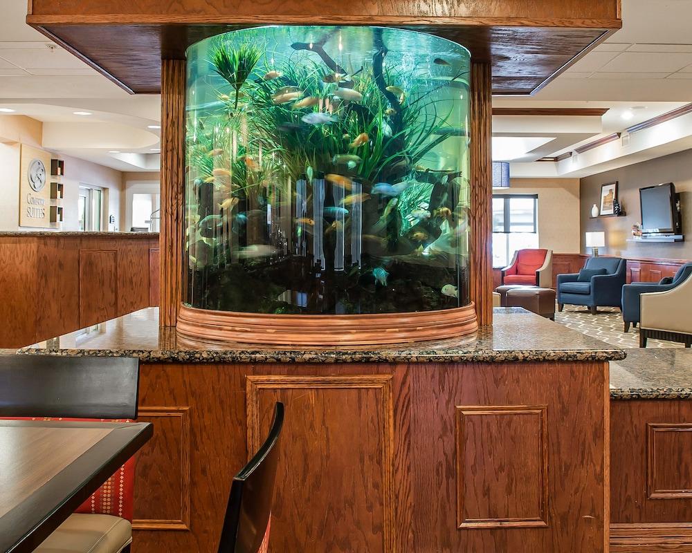 Comfort Suites Near Texas A&M - Corpus Christi Eksteriør billede